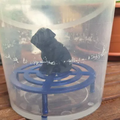 Giá đỡ cho Asa hoặc Abs mịn với aceton bay hơi