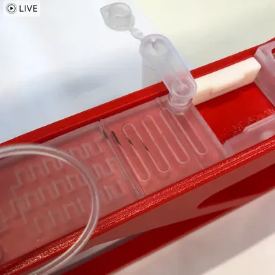 Bộ thu thập Luer Lock cho pipette 10mm