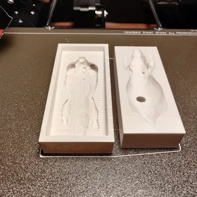 Khuôn đúc silicon cho chuột và rat trong nghiên cứu xạ trị