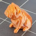Chú chó pug Buddy của Josef Prusa - Thumbnail 1