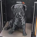 Tượng chó pug Buddy 2.0 của Josef Prusa - Thumbnail 8