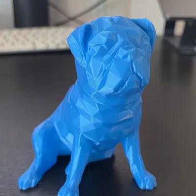 Buddy 2.0 Nhân Vật Low Poly