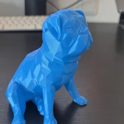 Buddy 2.0 Nhân Vật Low Poly