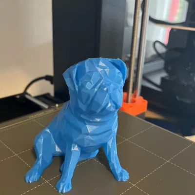 Buddy 2.0 Nhân Vật Low Poly