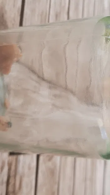 Bẫy ruồi thịt có thể điều chỉnh cho nhà bếp - Image 2