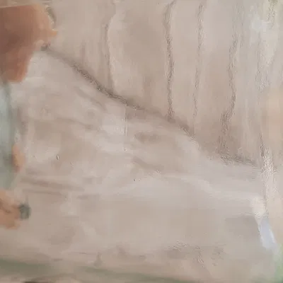 Bẫy ruồi thịt có thể điều chỉnh cho nhà bếp