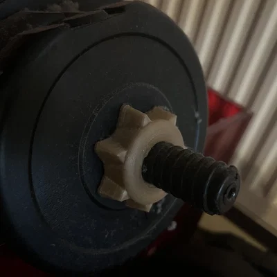 Thay thế bộ giữ trọng lượng cho tạ giá rẻ