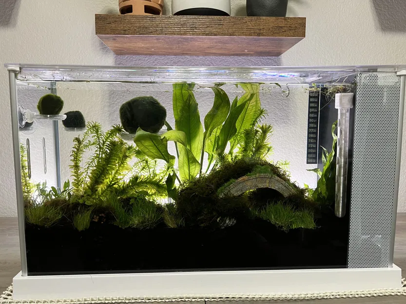 Giá đỡ nổi cho bóng Marimo và rêu trong bể cá - Image 1