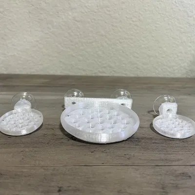 Giá đỡ nổi cho bóng Marimo và rêu trong bể cá