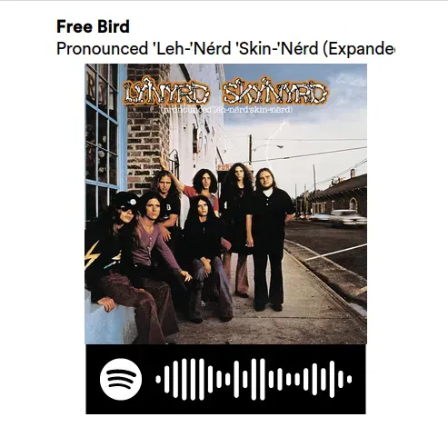 Móc khóa bài hát Free Bird nổi tiếng của Rolling Stones - Image 1