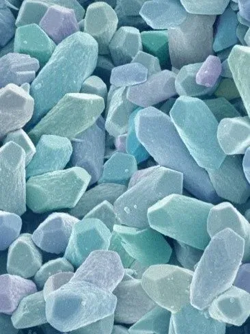 Crystals tai trong chính xác giải phẫu (otoconia/otolith) - Image 5