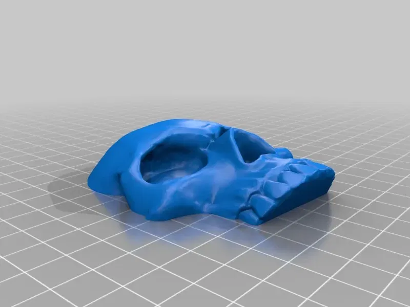 Đầu lâu nhân vật chiến binh trong Warhammer 40k - Image 5