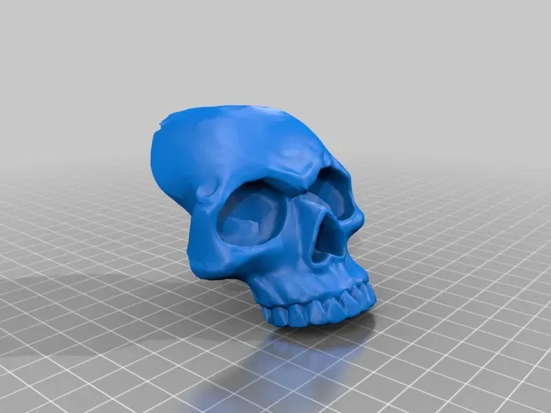 Đầu lâu nhân vật chiến binh trong Warhammer 40k - Image 7