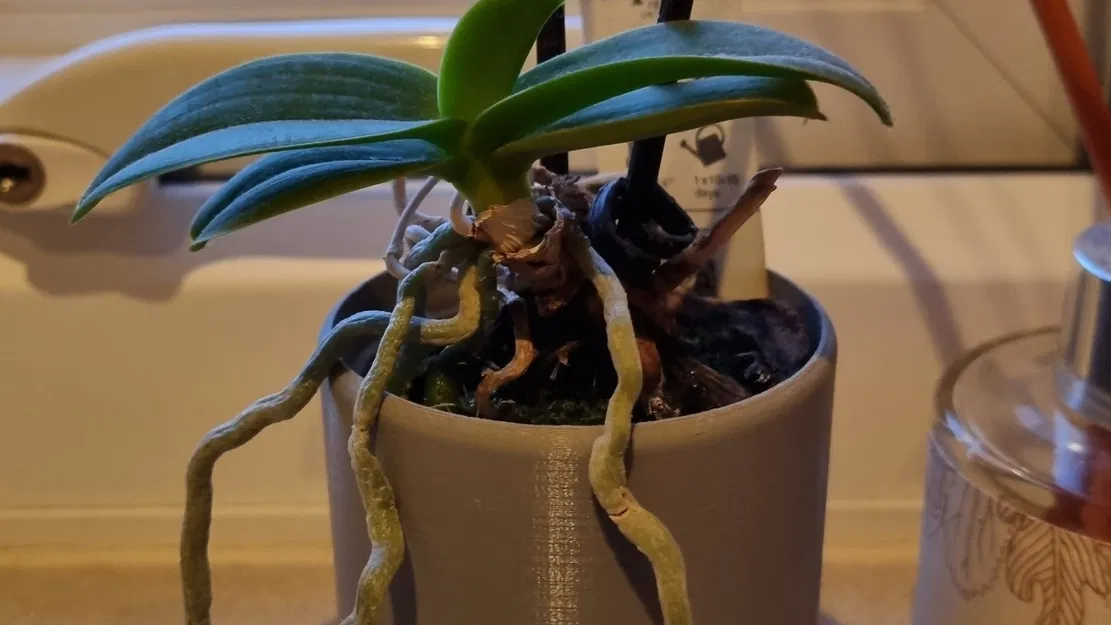 Chậu cây nhỏ trang trí nội thất hiện đại - Image 1