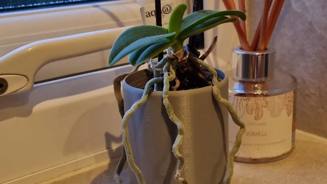 Chậu cây nhỏ trang trí nội thất hiện đại - Image 3