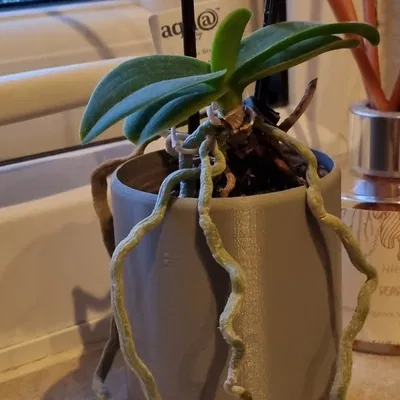 Chậu cây nhỏ trang trí nội thất hiện đại