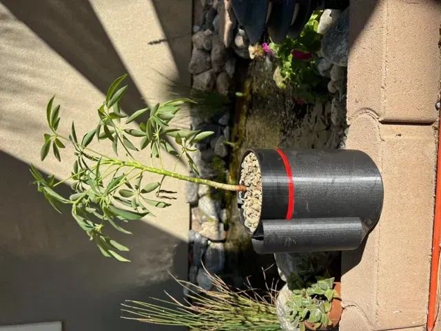 Chậu cây tự tưới nước cải tiến với khả năng xoay - Image 1