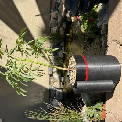 Chậu cây tự tưới nước cải tiến với khả năng xoay