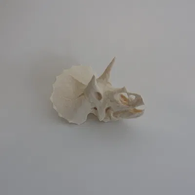 Giá đỡ phông nền chụp ảnh chuyên nghiệp