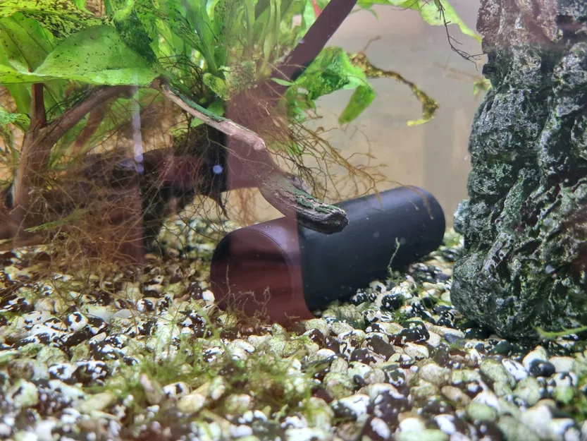 Hang cá cho cá cảnh sinh sản và nghỉ ngơi - Image 1