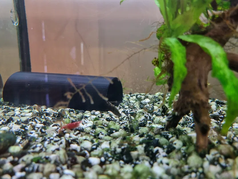 Hang cá cho cá cảnh sinh sản và nghỉ ngơi - Image 2