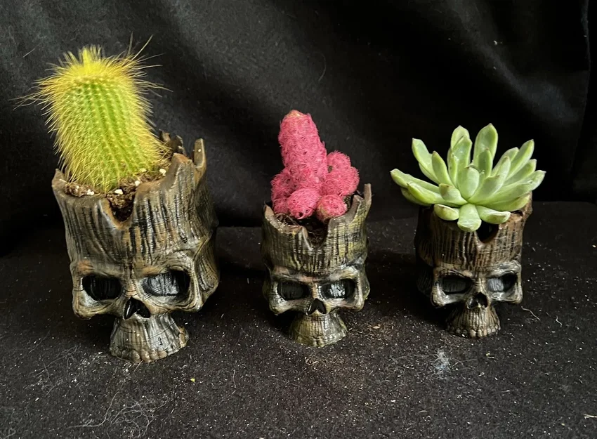 Đầu lâu thần gỗ với lỗ thoát nước cho cây trồng - Image 1