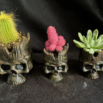 Đầu lâu thần gỗ với lỗ thoát nước cho cây trồng