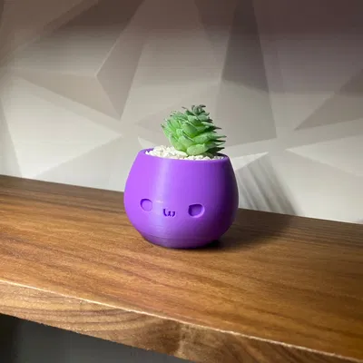 Chậu trang trí Kawaii đáng yêu cho không gian sống