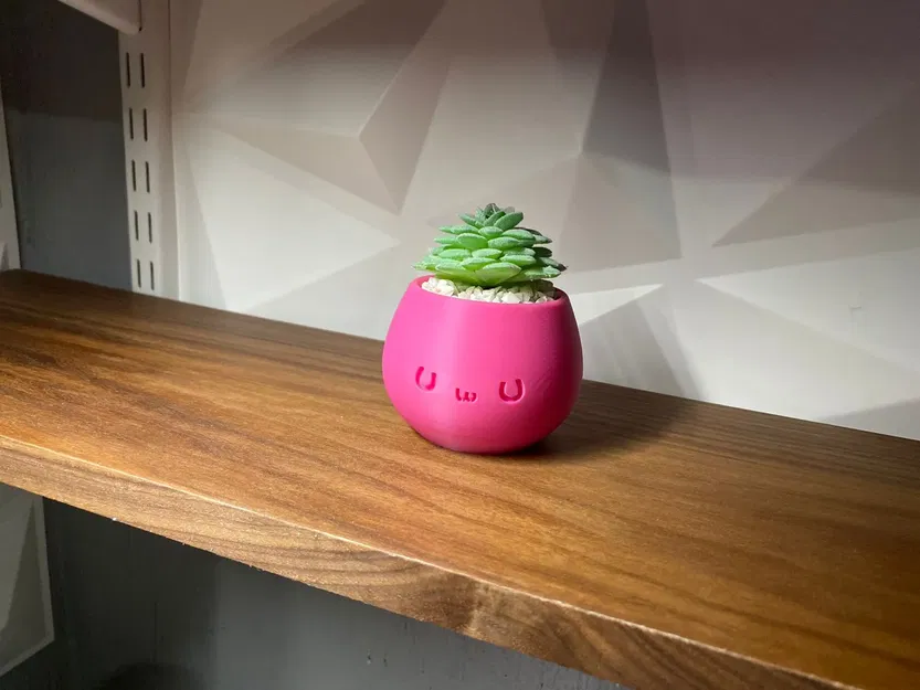 Chậu trang trí Kawaii đáng yêu cho không gian sống - Image 2