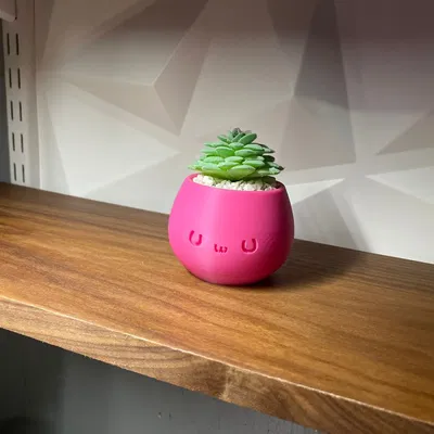 Chậu trang trí Kawaii đáng yêu cho không gian sống