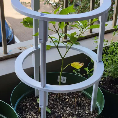 Giá đỡ cây trồng mô-đun cho cây ăn trái như cà chua và ớt