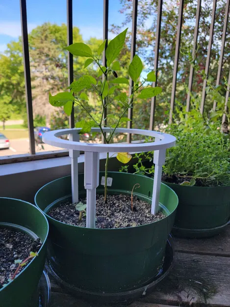 Giá đỡ cây trồng mô-đun cho cây ăn trái như cà chua và ớt - Image 2