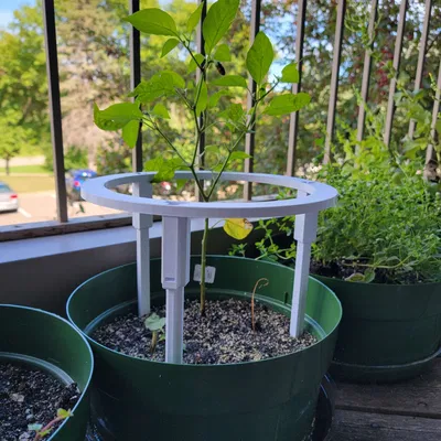 Giá đỡ cây trồng mô-đun cho cây ăn trái như cà chua và ớt