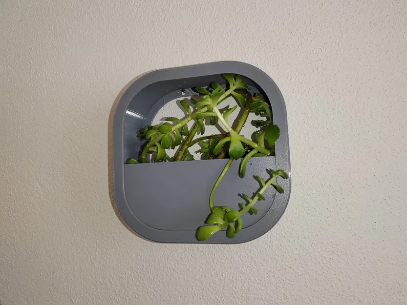 Chậu hoa treo tường dễ in từ vật liệu PETG - Image 2