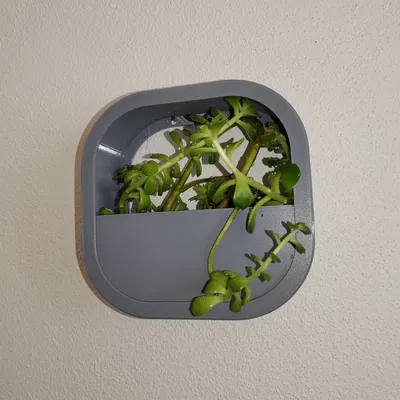 Chậu hoa treo tường dễ in từ vật liệu PETG