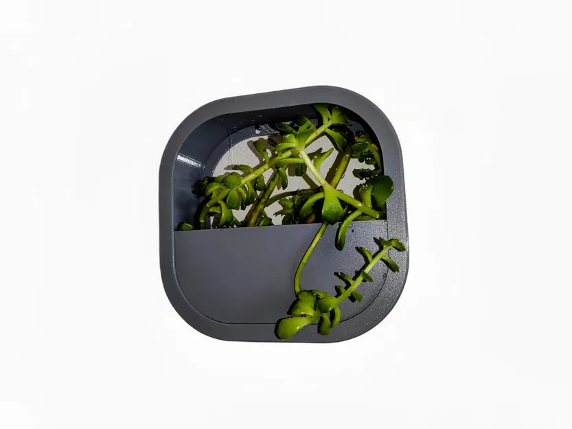 Chậu hoa treo tường dễ in từ vật liệu PETG - Image 3