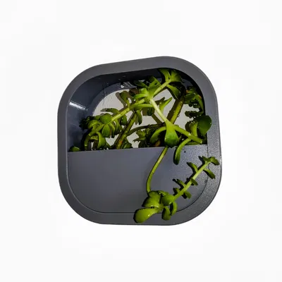 Chậu hoa treo tường dễ in từ vật liệu PETG