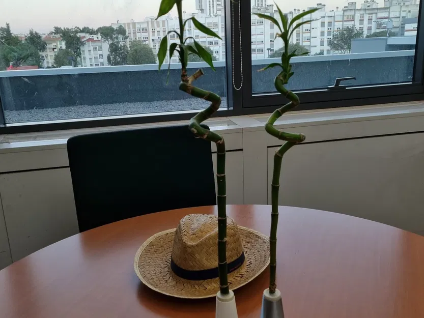 Giá đỡ Bambu cho ống thử IKEA DRACAENA - Image 4