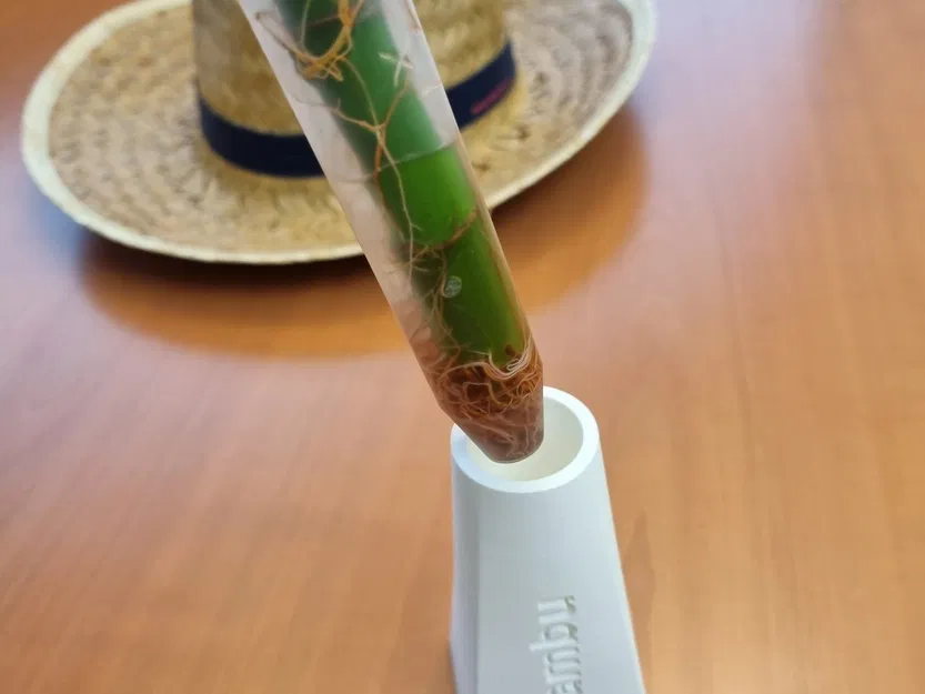 Giá đỡ Bambu cho ống thử IKEA DRACAENA - Image 6