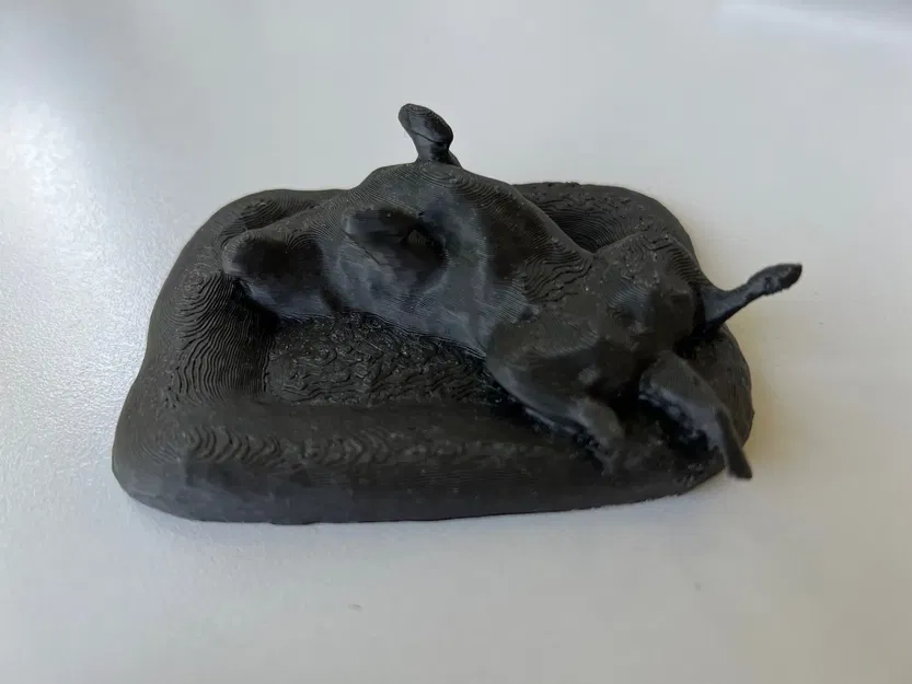 Chó Labrador Amálka nằm trên giường ấm áp - Image 1