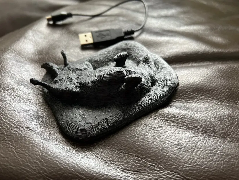 Chó Labrador Amálka nằm trên giường ấm áp - Image 2