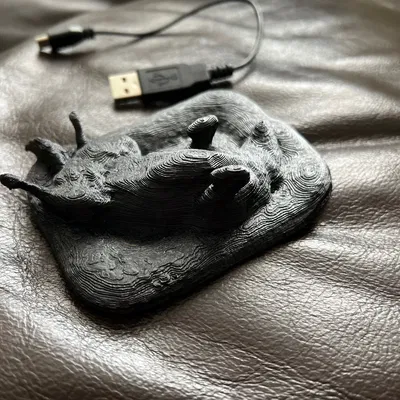 Chó Labrador Amálka nằm trên giường ấm áp