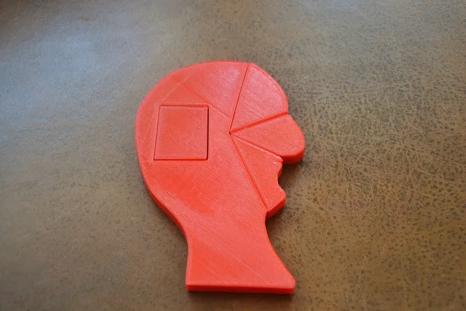 Câu đố khuôn mặt của đảo Ellis - Image 3