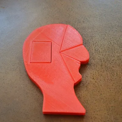 Câu đố khuôn mặt của đảo Ellis