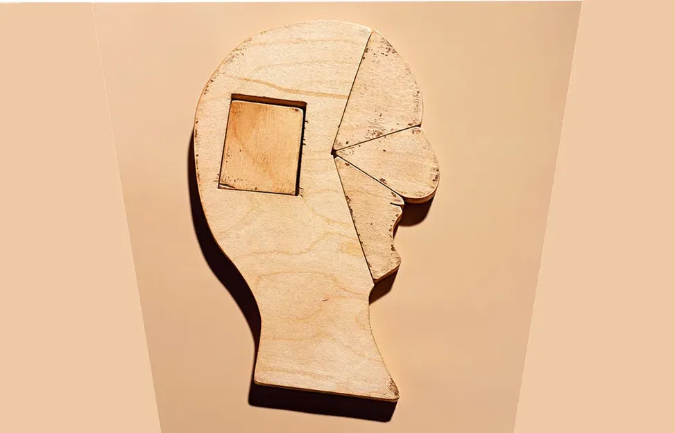 Câu đố khuôn mặt của đảo Ellis - Image 11