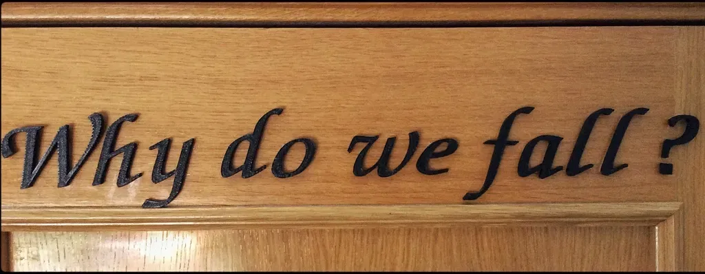 Tại sao chúng ta lại ngã? - Image 2