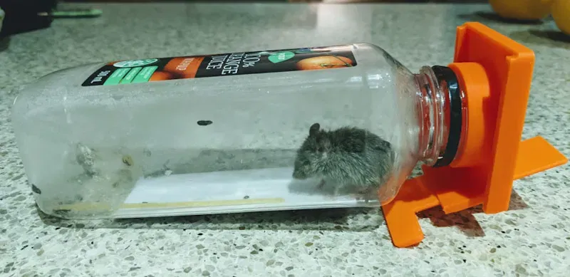 Bẫy chuột bằng chai nhựa thiết kế tối giản - Image 6