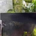Chậu cây thủy sinh cho bể cá - Thumbnail 1