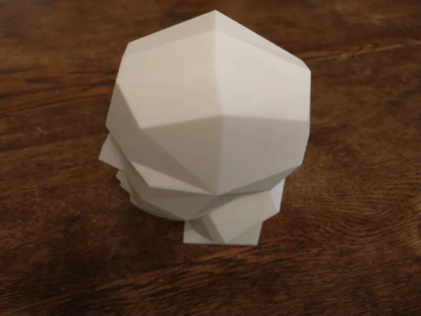 Đầu thấp đa giác cho tham khảo vẽ và hướng dẫn nghệ thuật - Image 3