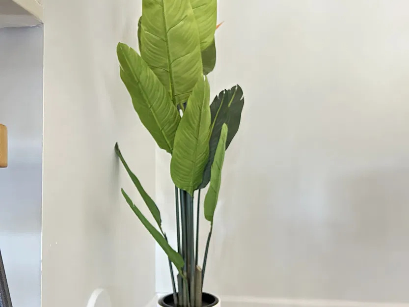 Giá đỡ chậu cây hiện đại 6 inch của Jordan Proctor Designs - Image 2